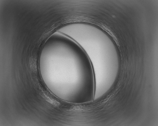 X0000084520489200702230842