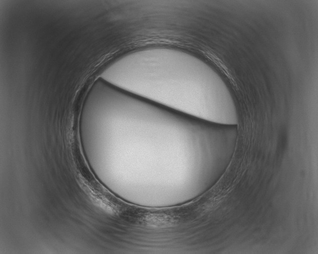 X0000084520490200702230842