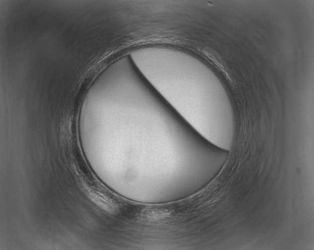 X0000084520491200702230842