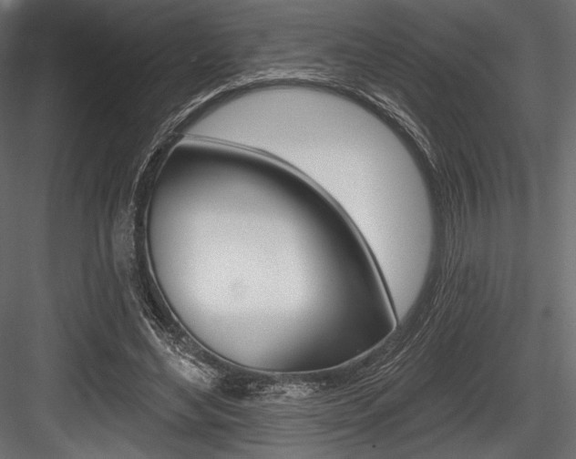 X0000084520492200702230842