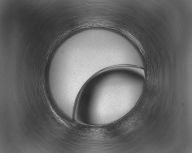 X0000084520493200702230842