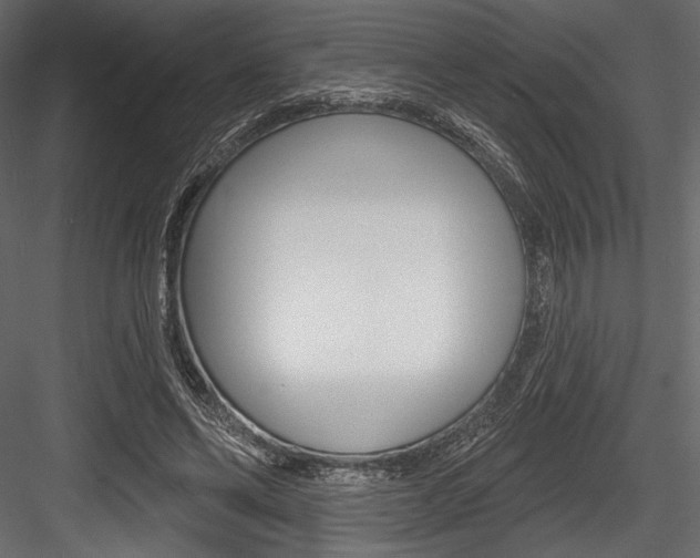 X0000084520494200702230842