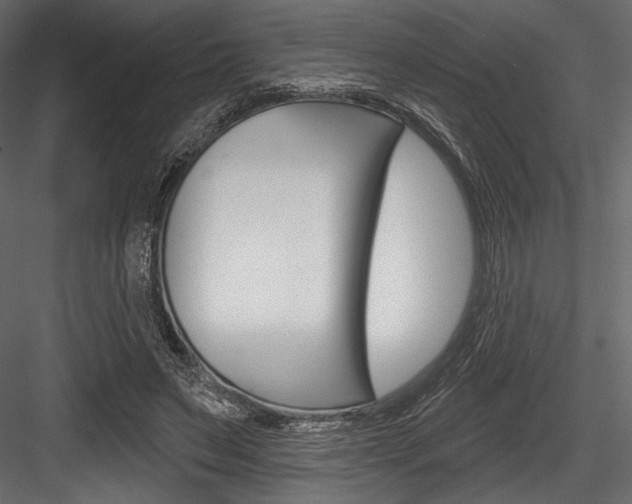 X0000084520495200702230842