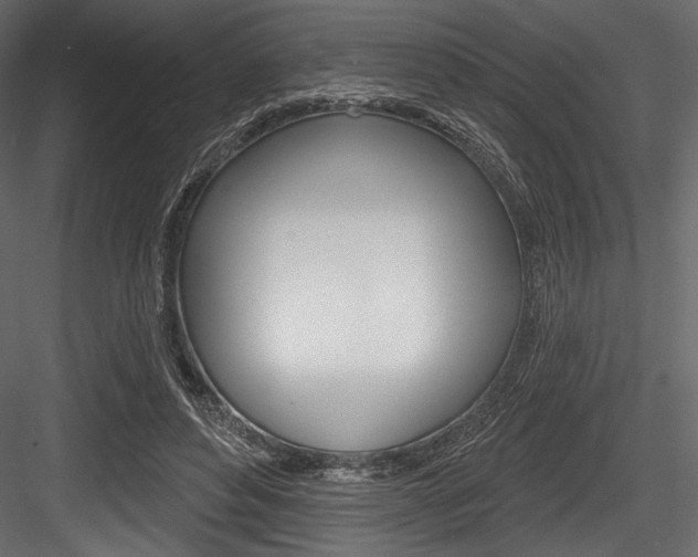 X0000084520496200702230841