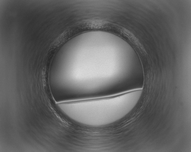 X0000084520497200702230841