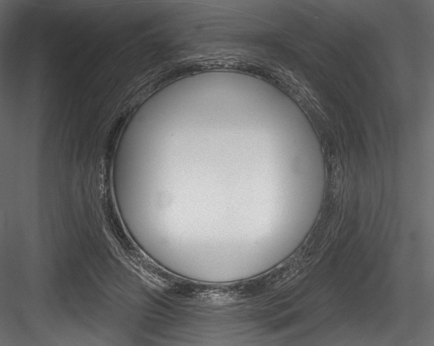 X0000084520498200702230841