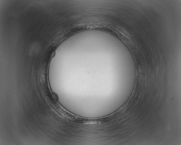 X0000084520499200702230841