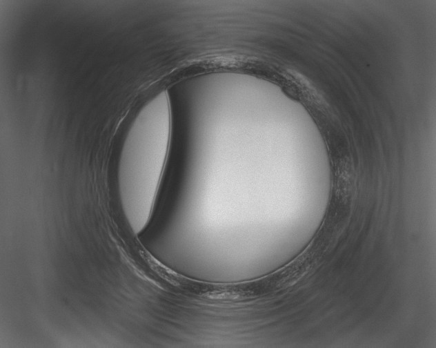 X0000084520500200702230841
