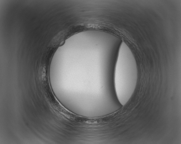 X0000084520502200702230841