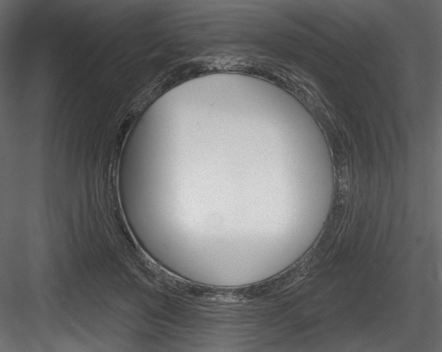 X0000084520503200702230841