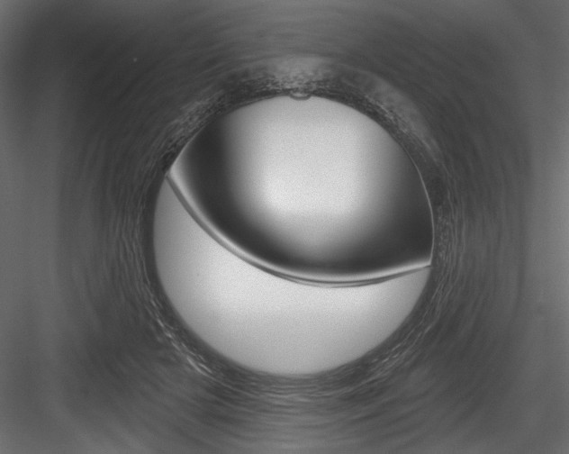 X0000084520505200702230841