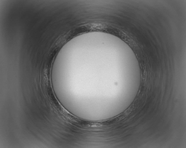 X0000084520506200702230841