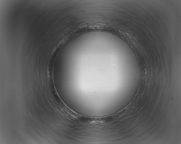 X0000084520508200702230841