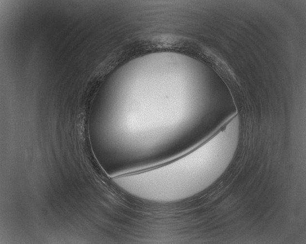 X0000084520509200702230841