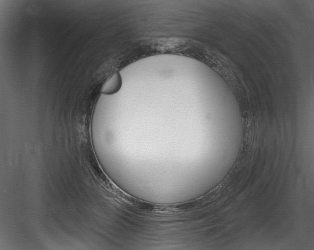 X0000084520510200702230841