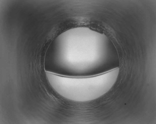 X0000084520512200702230841