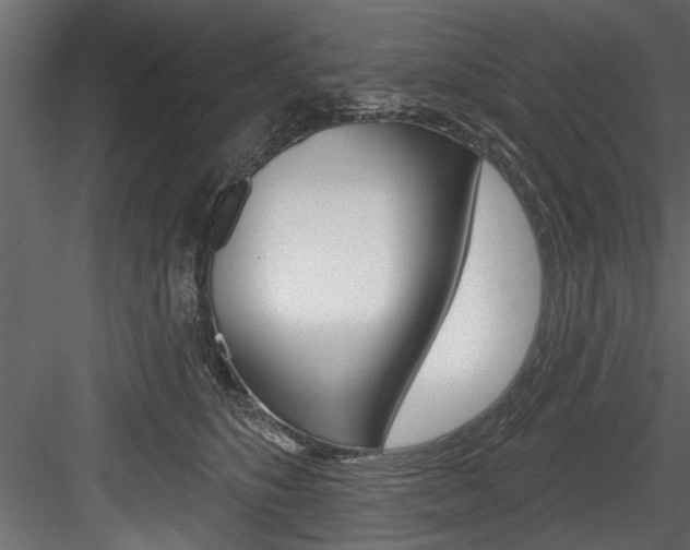 X0000084520516200702230841