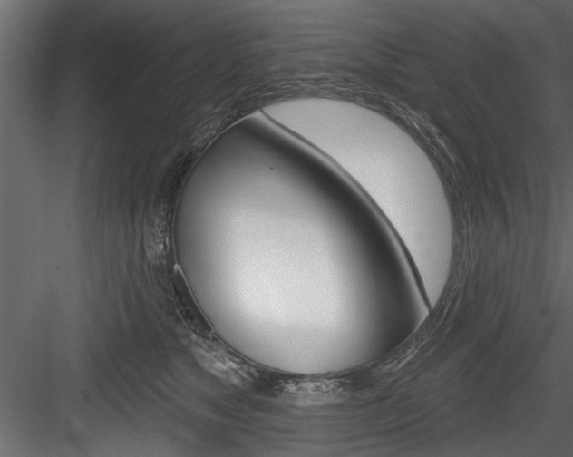 X0000084520517200702230841