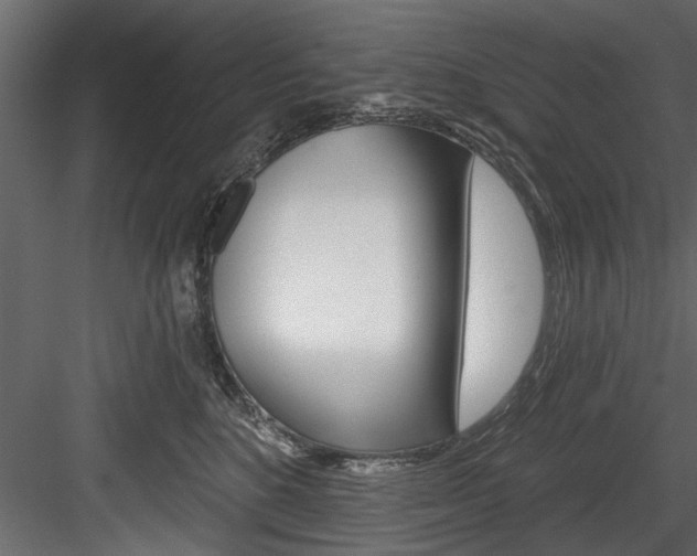 X0000084520520200702230841