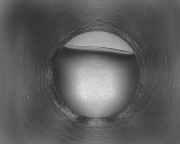 X0000084520521200702230841