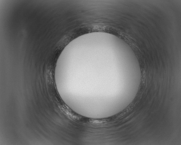 X0000084520522200702230841
