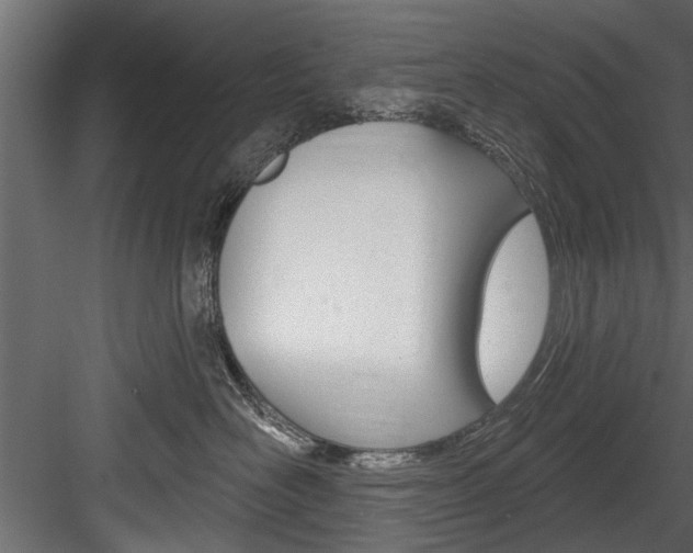 X0000084520526200702230841