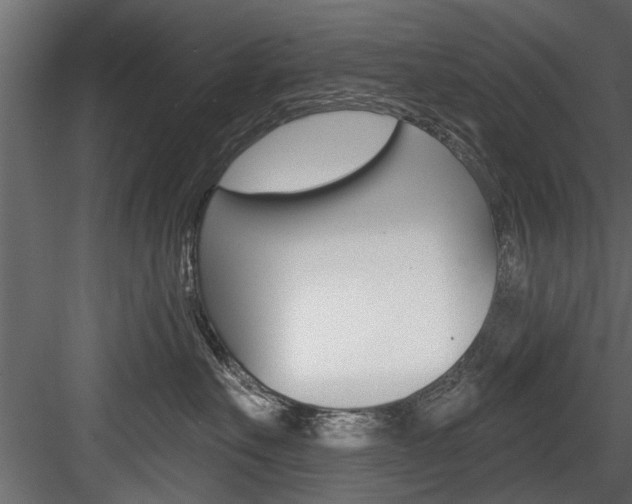 X0000084520527200702230841