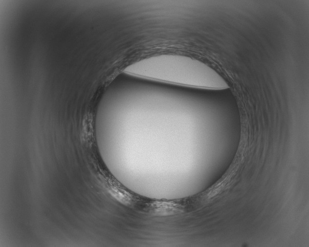 X0000084520528200702230841