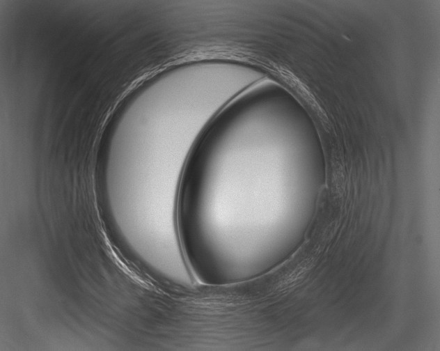 X0000084520530200702230840