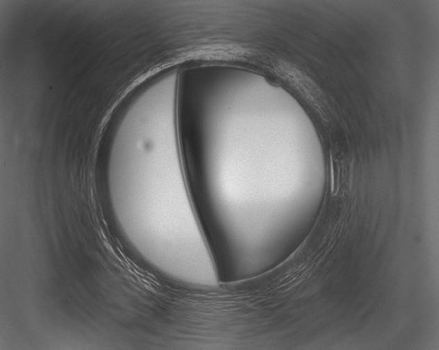 X0000084520531200702230840