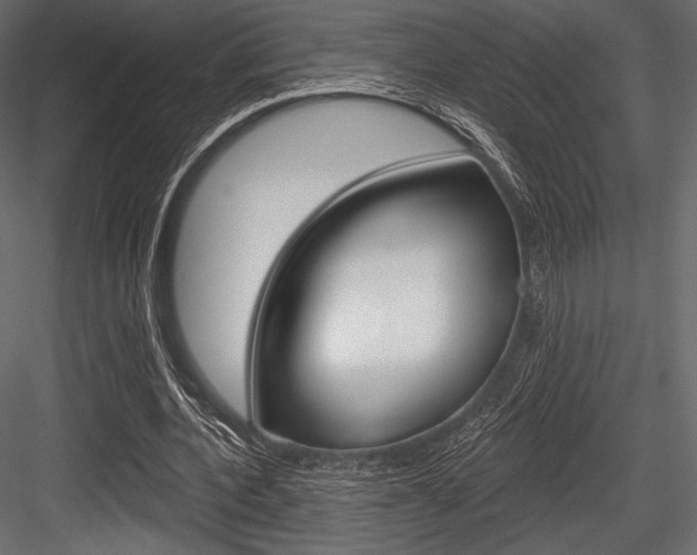 X0000084520532200702230840