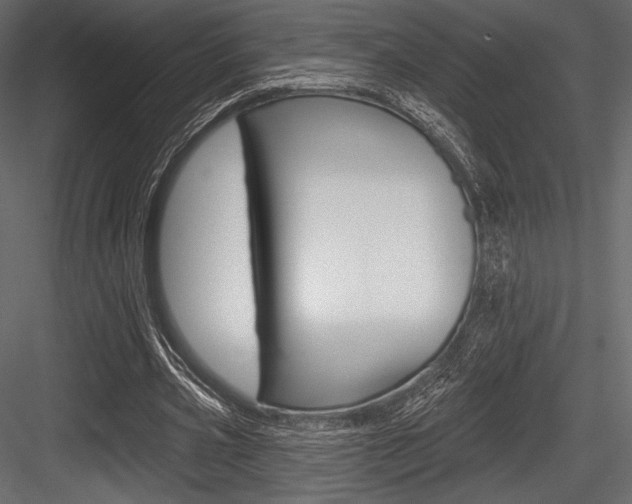 X0000084520533200702230840