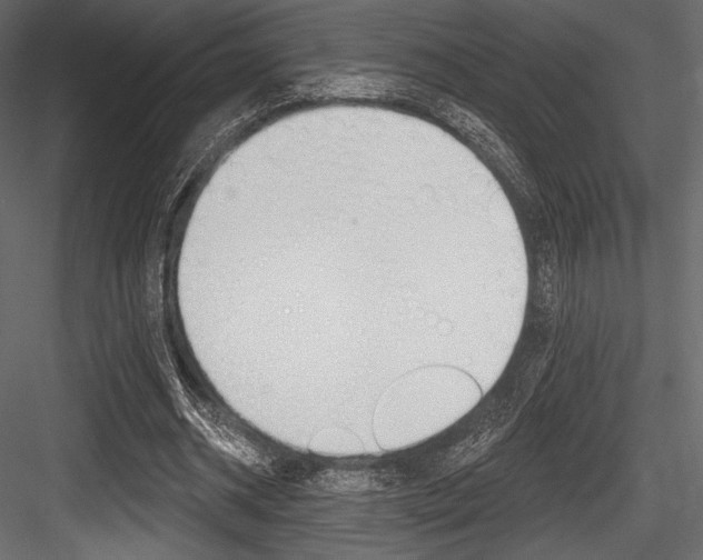 X0000084520534200702230840