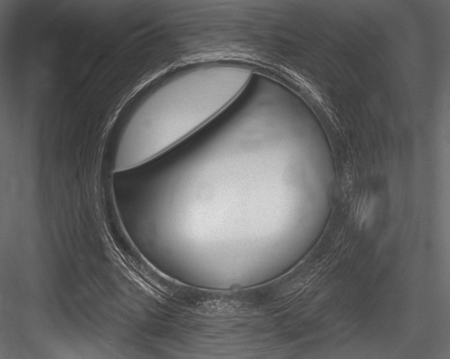 X0000084520535200702230840