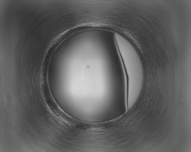 X0000084520536200702230840