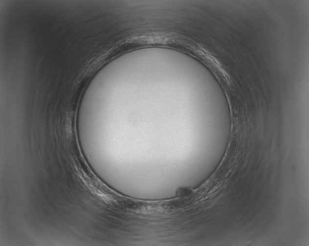 X0000084520537200702230840