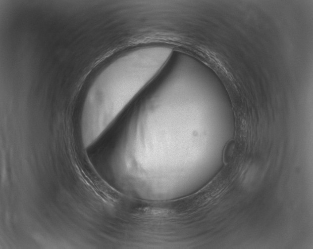 X0000084520539200702230840