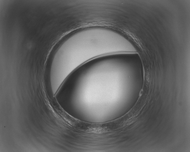 X0000084520540200702230840