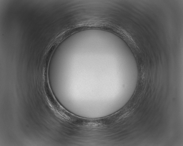 X0000084520542200702230840