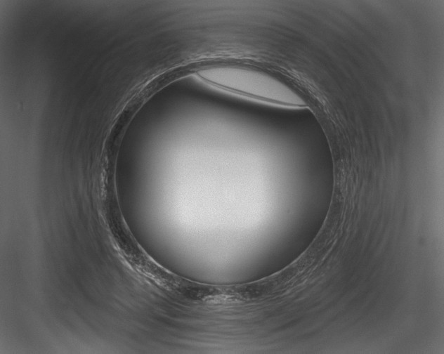 X0000084520544200702230840