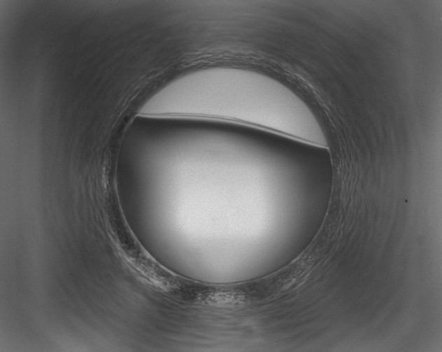 X0000084520546200702230840