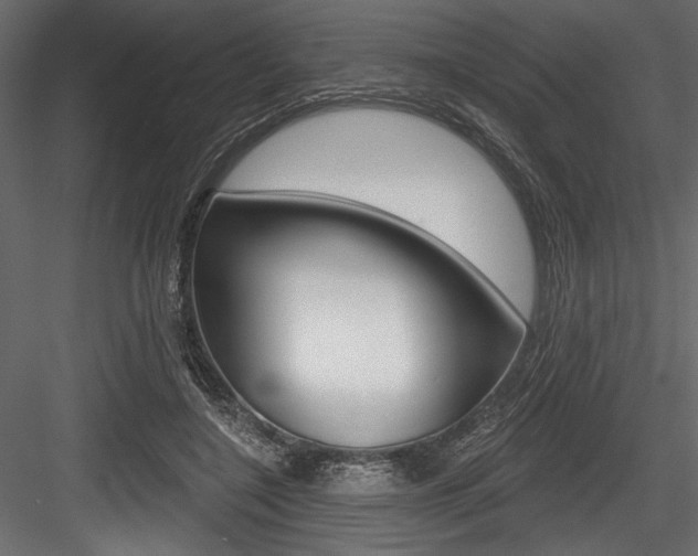 X0000084520548200702230840