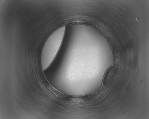 X0000084520551200702230840