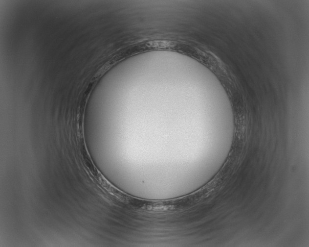 X0000084520553200702230841