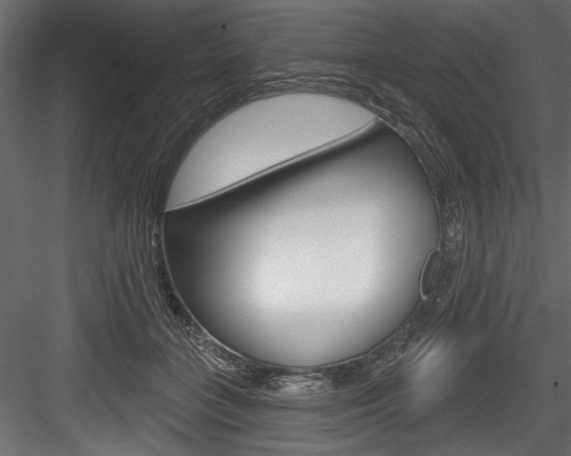 X0000084520555200702230841