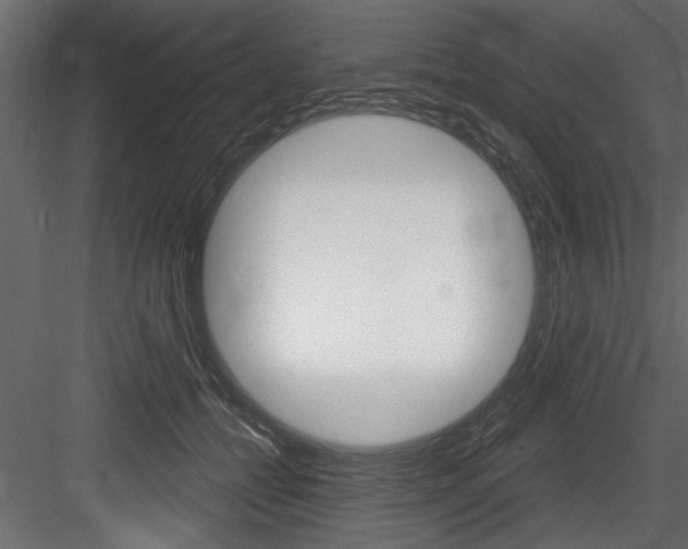 X0000084520558200702230841