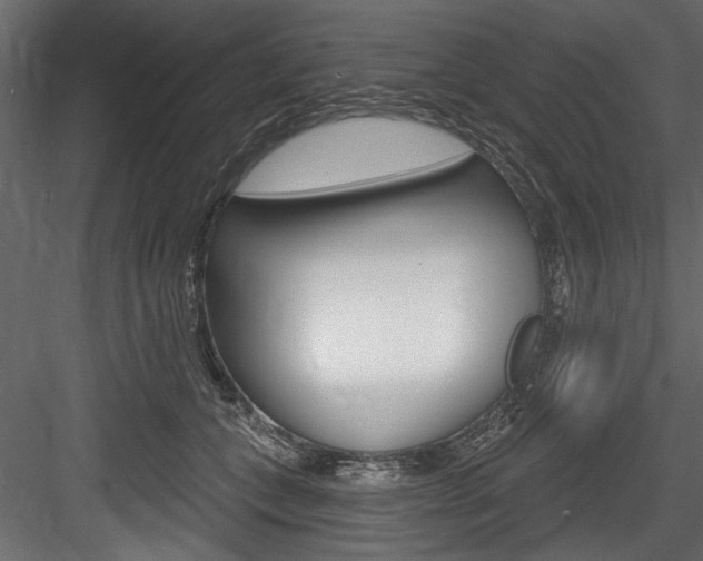 X0000084520559200702230841