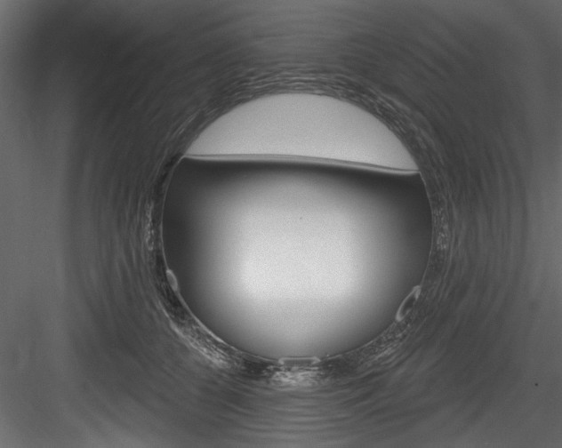 X0000084520560200702230841