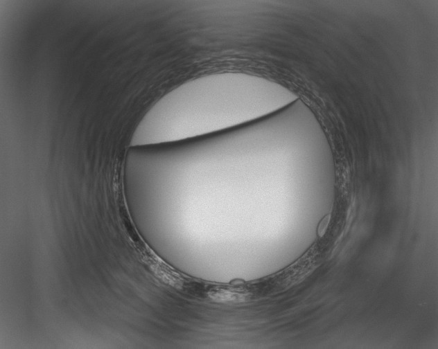 X0000084520561200702230841