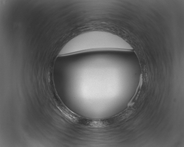 X0000084520562200702230841